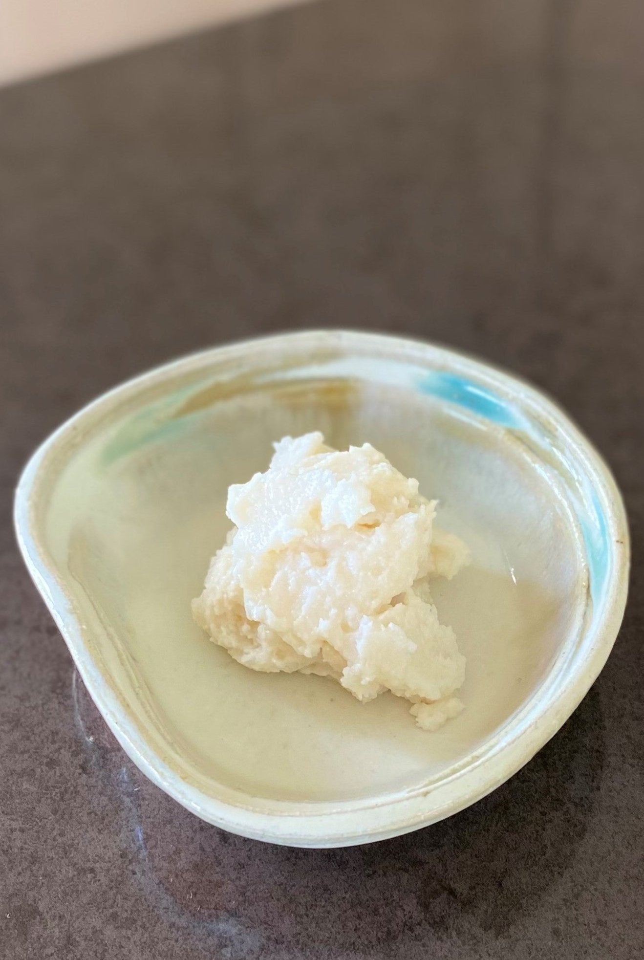 Sake Kasu ~ Matured 熟成